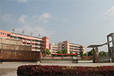 宁化县城东中学